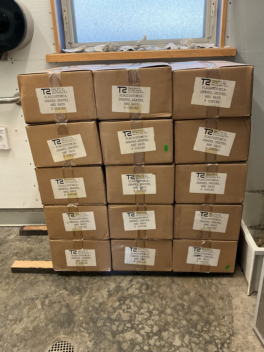 Adam P. Summers tweet media