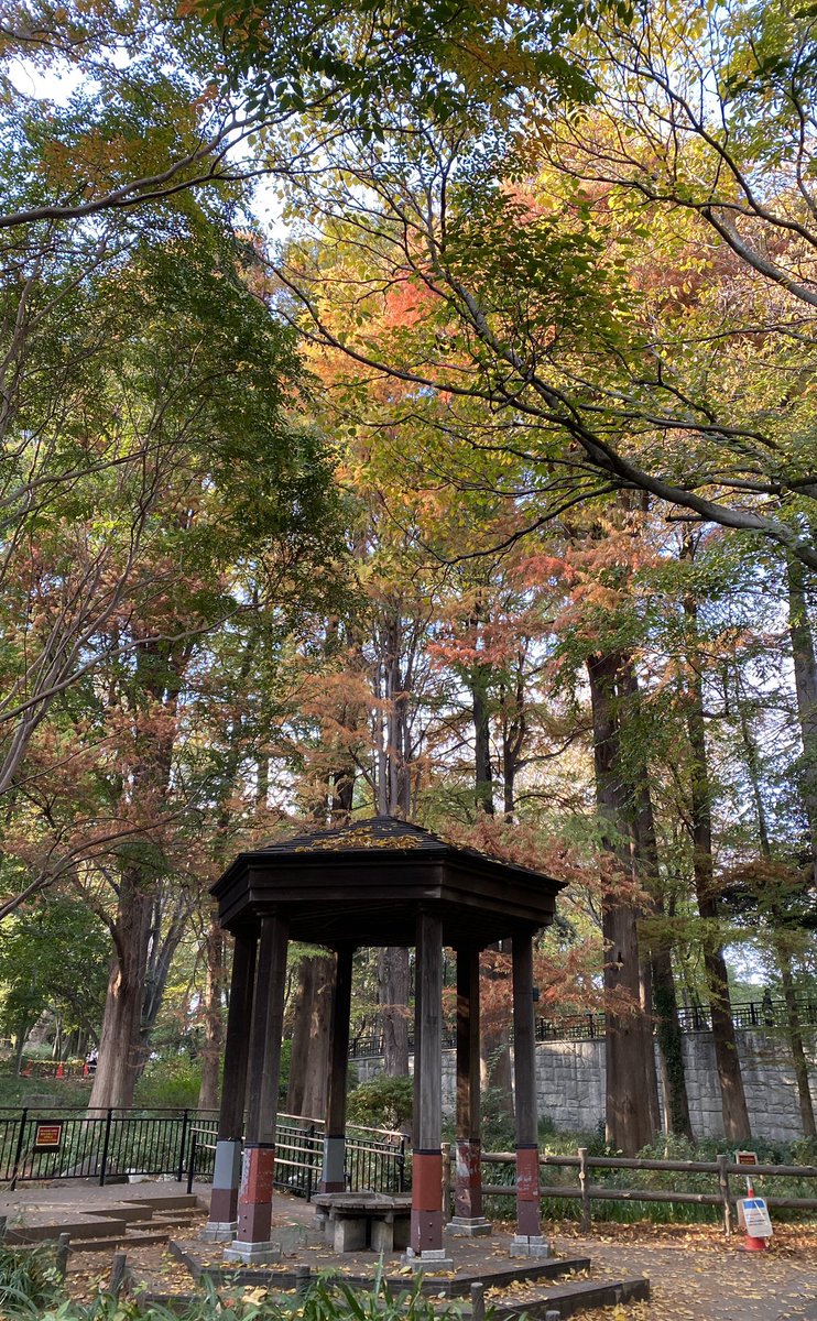 km_group_jp's tweet photo. Rinshi-no-mori Park
#tokyodrive #tokyotrip #tokyotour #tokyosightseeing #tokyolife #tokyonow #tokyotravel #thingstodointokyo #東京観光 #mytokyois #thingstodoinjapan #tokyotourism #観光タクシー #kmタクシー #東京観光タクシー #kmtaxi #tokyotokyo #20cheersfortokyo https://t.co/0EZIfpC7CM