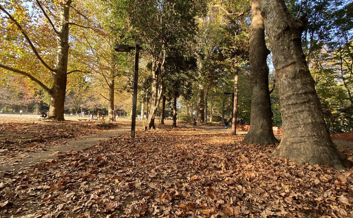 km_group_jp's tweet photo. Rinshi-no-mori Park
#tokyodrive #tokyotrip #tokyotour #tokyosightseeing #tokyolife #tokyonow #tokyotravel #thingstodointokyo #東京観光 #mytokyois #thingstodoinjapan #tokyotourism #観光タクシー #kmタクシー #東京観光タクシー #kmtaxi #tokyotokyo #20cheersfortokyo https://t.co/0EZIfpC7CM