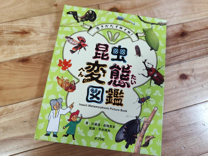 本日届きました!特典カードがウスタビちゃんとムシクソハムシ!なんて鬼畜なネーミングなの、ムシクソハムシ!声に出して読みたい日本語ムシクソハムシ!!かわいいイラスト入りサインも嬉しい 宝物にします#昆虫変態図鑑 