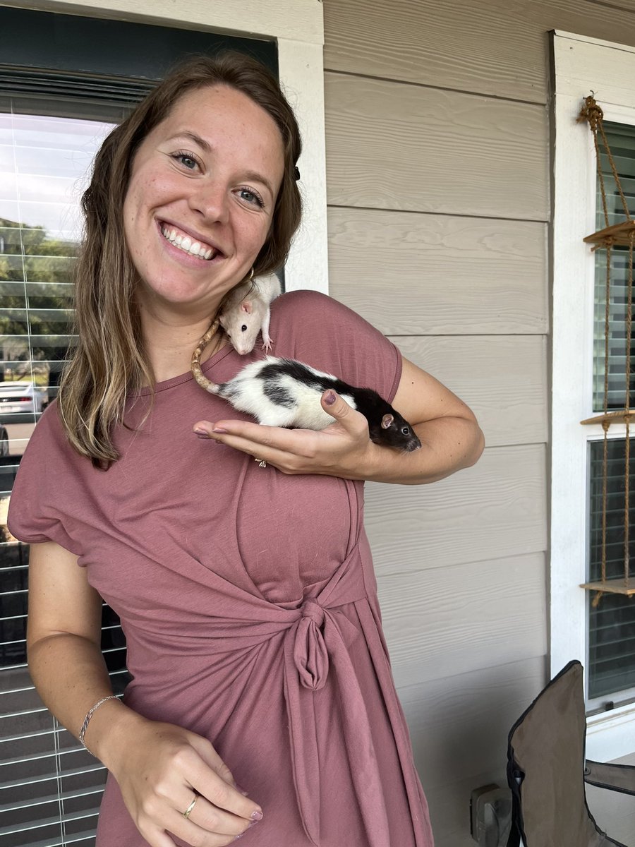 MrsVelazco5th's tweet photo. It’s with a heavy heart that I say that our sweet classroom pet, Buttercup has passed. She will be dearly missed by all the students who have loved her, her best friend Daisy, and myself.
@HarmonyPta @harmonyecisd 
@ECISDtweets #inspireharmony https://t.co/9YirVGZpuT