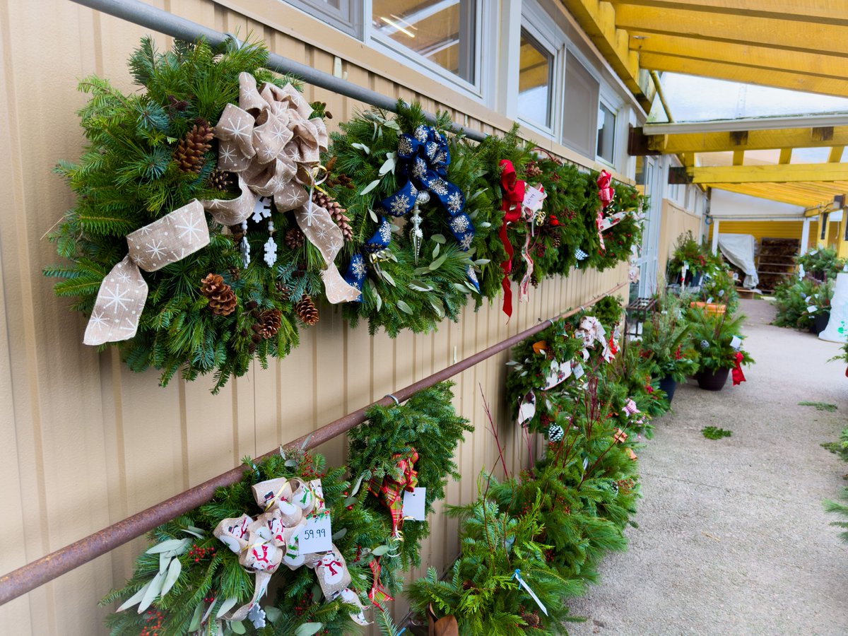 Beautifully hand-decorated wreaths all ready to go! ☺️

We’re open all week long; Monday to Friday 9AM-4:30PM, Saturdays from 9AM-5PM, and Sundays 10AM-5PM!