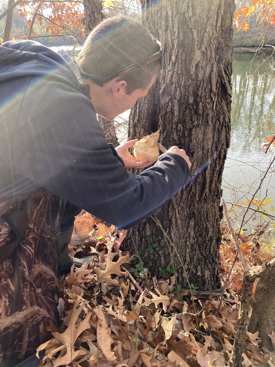 AHibshman's tweet photo. Good times this morning with my fishing bro @mapplegate123 . Even though I won the pickerel fishing challenge, he won the day with this Lion’s Mane mushroom! https://t.co/cFDQYUbCV8