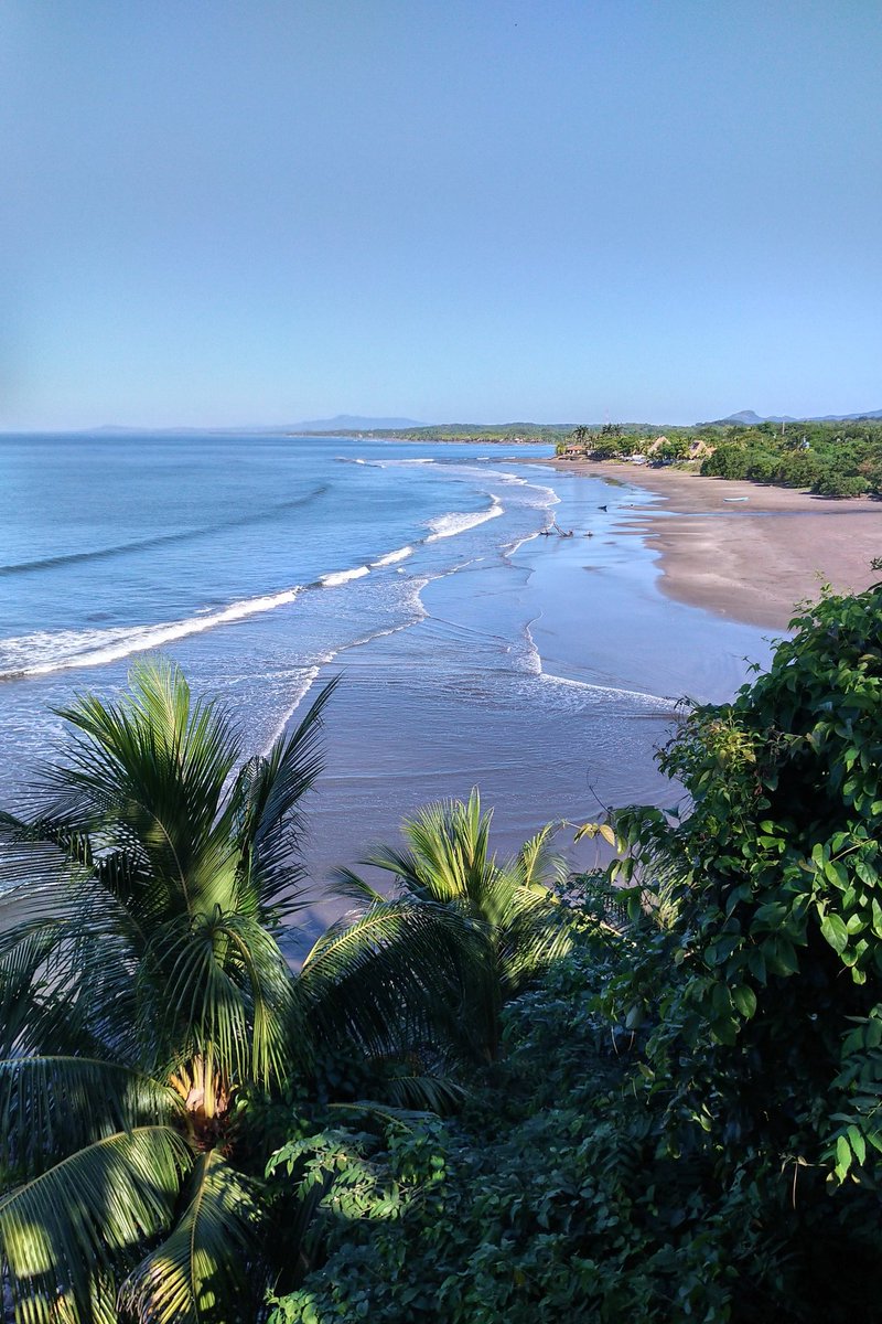 Steve Cordes tweet media