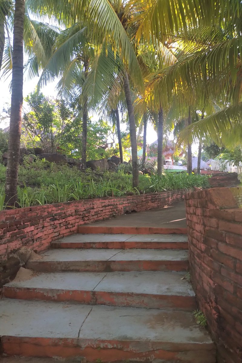 Steve Cordes tweet media