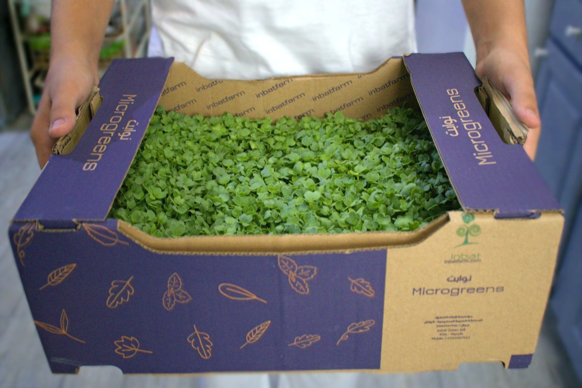 Inbat_farm's tweet image. 