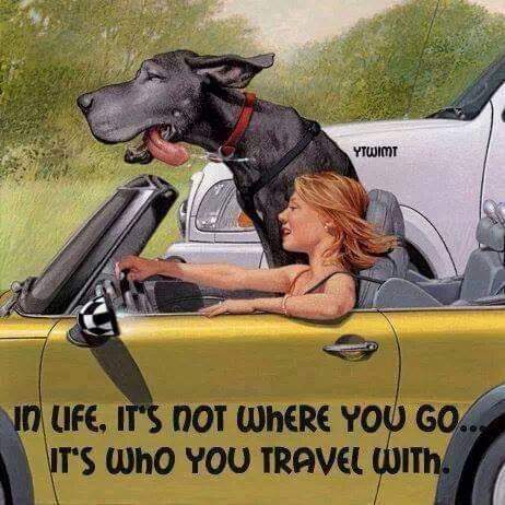 Have a great weekend all #DaneLife