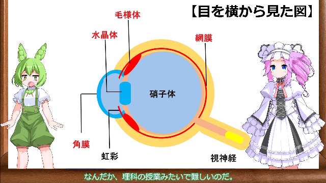 ずんだもんと四国めたんの立ち絵ご利用アリシャス!
仕事も趣味もPCつかいまくるからだいぶ視力さがったですわ
子どもの視力低下の原因と対策をまとめてみた! https://t.co/ZgYb3QfJ3V #sm41392394 #ニコニコ動画