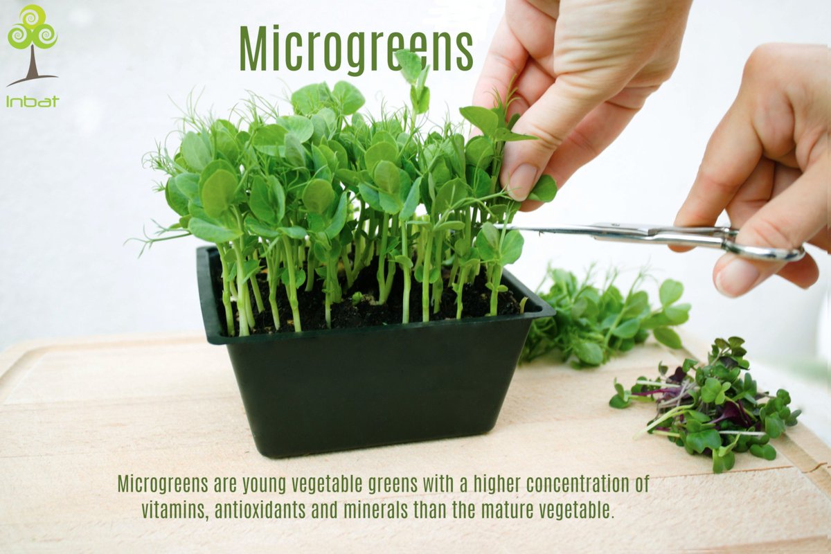 Inbat_farm's tweet image. 