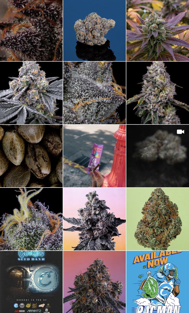 Follow { Cookies } on ( social club ) … have you joined yet ? onelink.to/socialclub