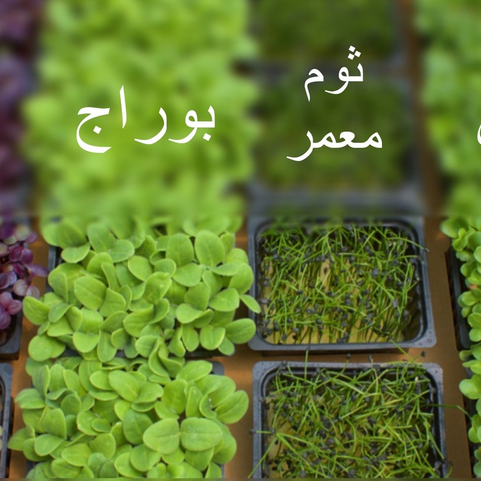 Inbat_farm's tweet image. 