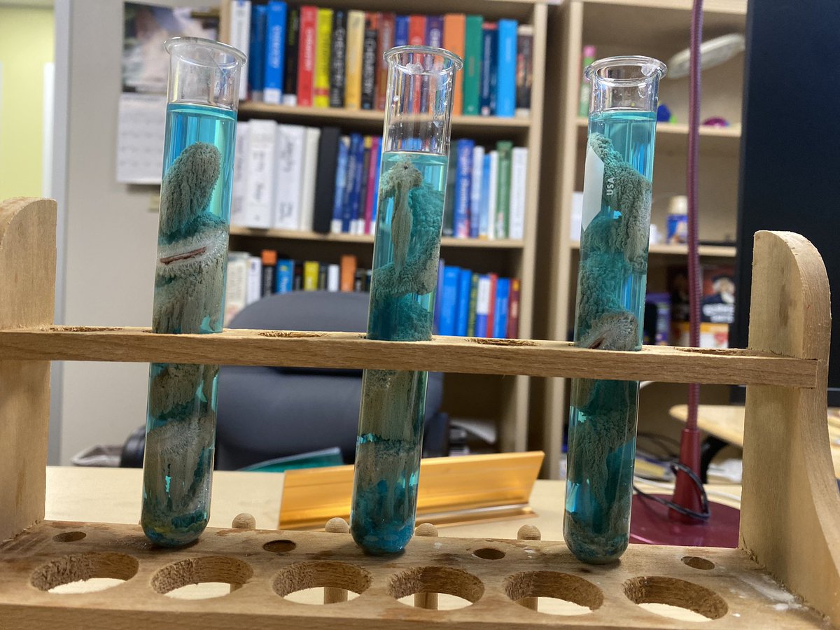 troy_alivio's tweet photo. Our @NichollsState Student Chapter of the @AmerChemSociety @nsuchemsociety had the best time welcoming our future scientists at #ColonelDay! In the spirit of the holidays we made silver Xmas trees! @ACSUndergrad https://t.co/9r6fXtxtZg