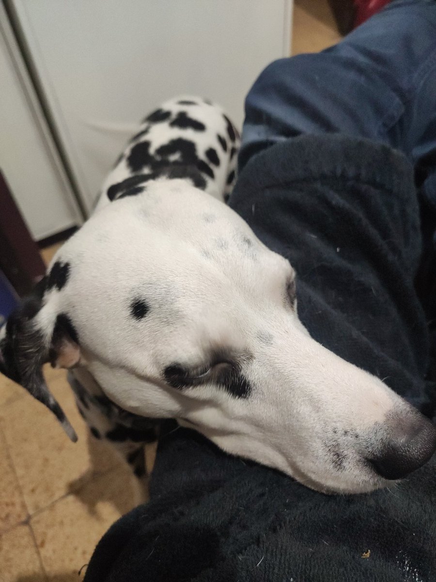 HolaCreadors! Creativitat - Cultura - Educació tweet media