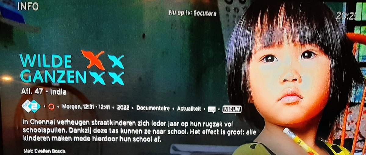 PeterDeurloo's tweet photo. Morgen vliegen de @WildeGanzenNL voor ons project. 12.30 u NPO2. Kijk en doe mee! https://t.co/DppGsclRGT https://t.co/hYyOI1EbSq