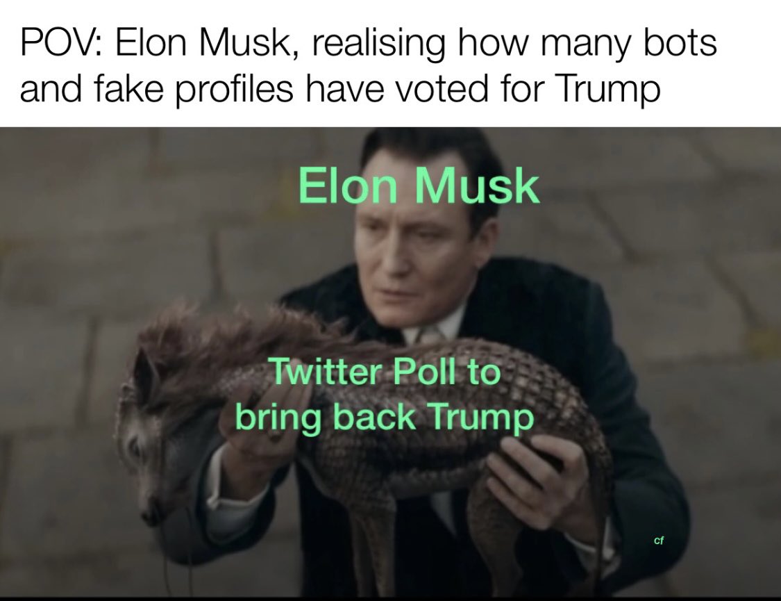 ChrisFriedrich's tweet photo. @elonmusk    #FantasticBeasts  #ElonMusk #PollResult  #harrypotter https://t.co/HdHf34OQ0p