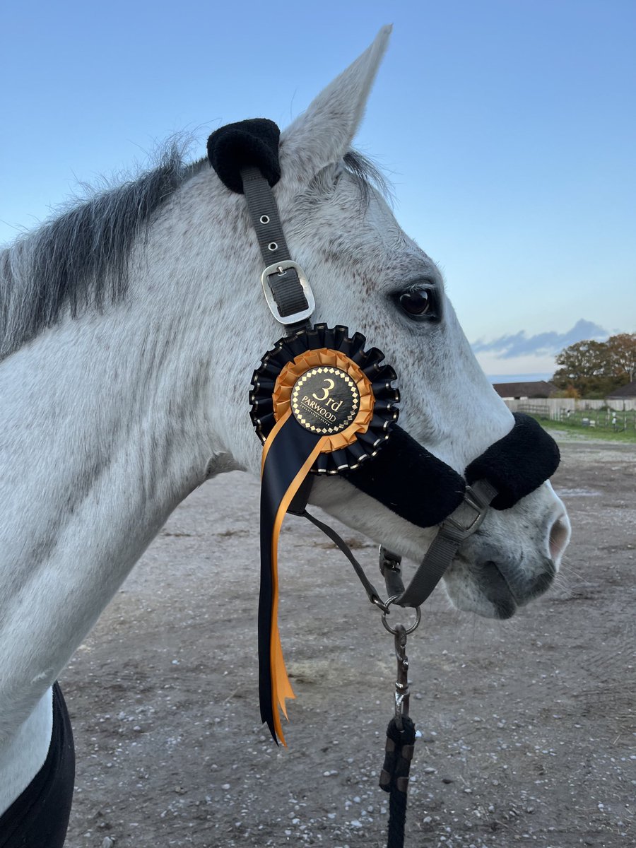 A great round and the 3rd place for Ruby on Felton today. Solid progress