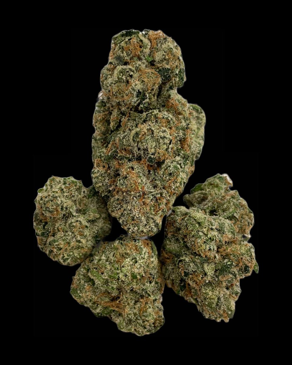 cookies_oakland's tweet photo. 🆕 Cookies strain "Madison Square Gumbo" just arrived at the shop 💥

Come try it today. We'll be here until 🔟 PM 💨 https://t.co/qubcHnHiVR