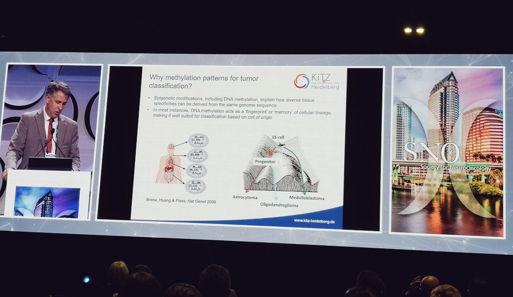maxiydeng1994's tweet photo. Very exciting keynote presentation by #StefanPfister @KiTZ_HD on the advances of DNA methylation-based classification of brain tumors at #SNO2022 ๐๐ผ๐ง ๐ฌ
@NeuroOnc @uniklinik_hd @DKFZ #methylationprofiling #moleculardiagnostics https://t.co/Qqjs59x9K4