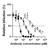 To ensure we were not dreaming🤨we put our #IgM 🟨 to the test and made a #recombinant #IgG 🔻with the SAME antigen binding sites. DH1017.IgM was 40-fold more potent than its IgG counterpart mAb at equimolar concentrations. Wow!😮 7/n