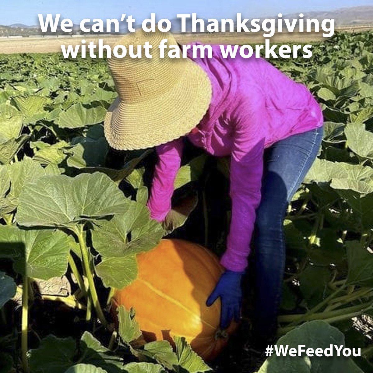 We can’t do #Thanksgiving without farm workers: Make a donation during this season of thanks and giving and help fund change all year long. ufw.org/thanksgiving20… 
#WeFeedYou