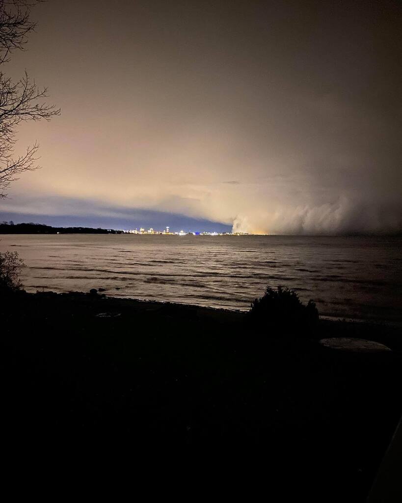 Everything Buffalo tweet media