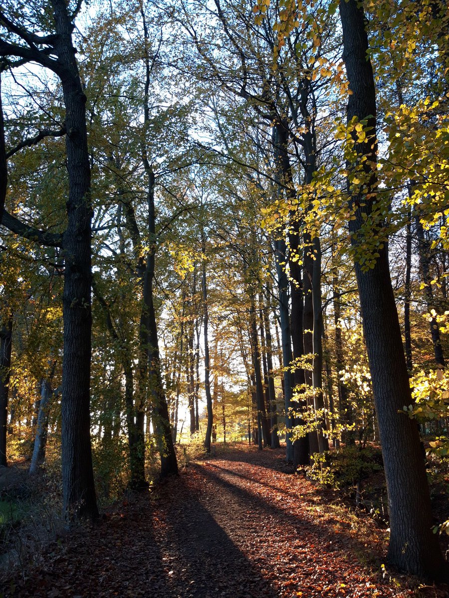 Nog net voor het donker even gewandeld bij de Horte :-)
