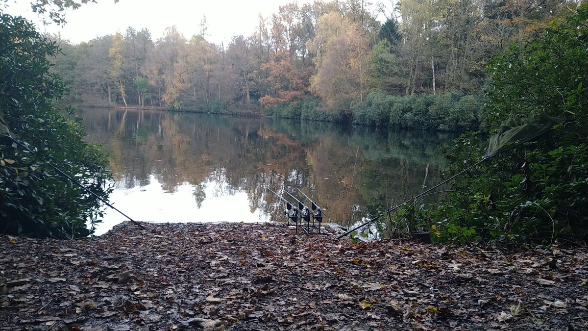 CarperG64's tweet photo. Change of venue, hopefully no change in the run of good fortune lately.
#autumnnotwinter
#chillynotcold
#comeonthelizard https://t.co/7wYlnrqAMJ