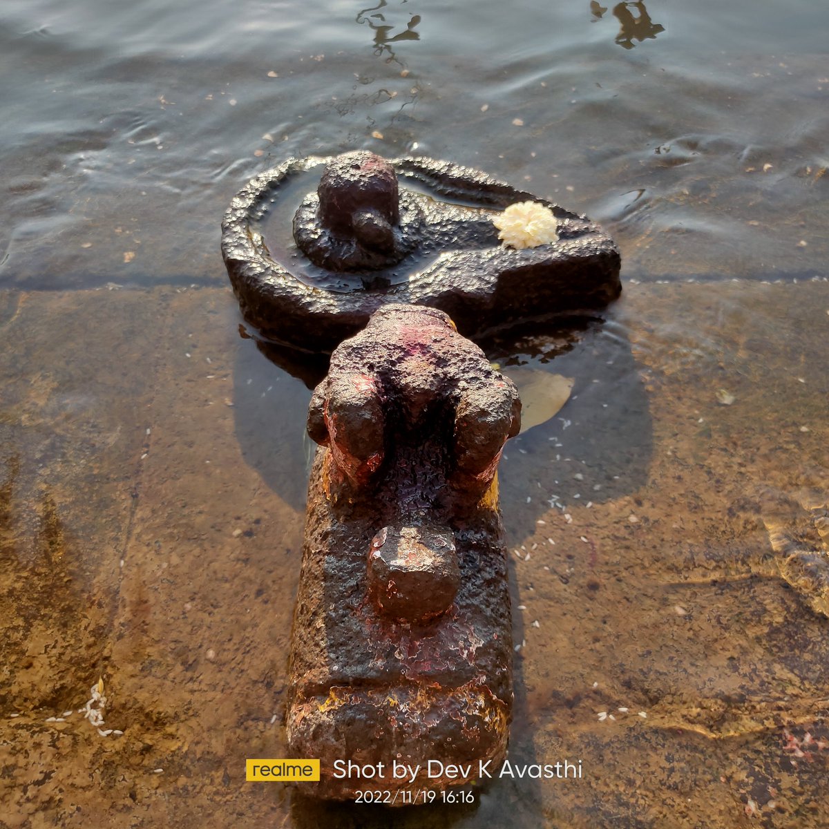 Devavasthi's tweet photo. 🍁सुकून🍁
❤️ गोदामाई ❤️
#peace #love #ॐ #राम #शिव #shiva #nirbhid #nashik #Godavari #ramkund #devine #riverside #river #shivling #maharashtra #india #sanatan #devclicks #नाशिक https://t.co/PqMtRXfRMX