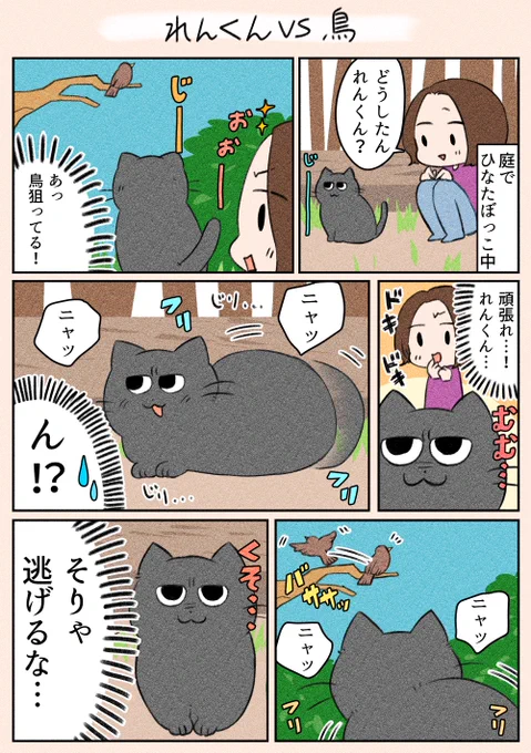 夜遅くにすみません…🙇‍♂️
「れんくんvs鳥」
高さ的にも絶対届かないのですが、毎回声が出てしまうれんくんです(笑) 