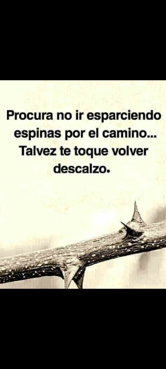Sil 🌞🇦🇷 tweet media