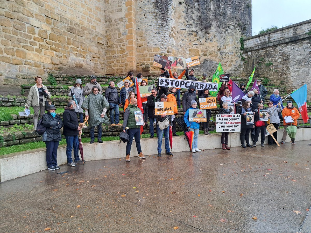 Sandra Pereira-Ostanel tweet media