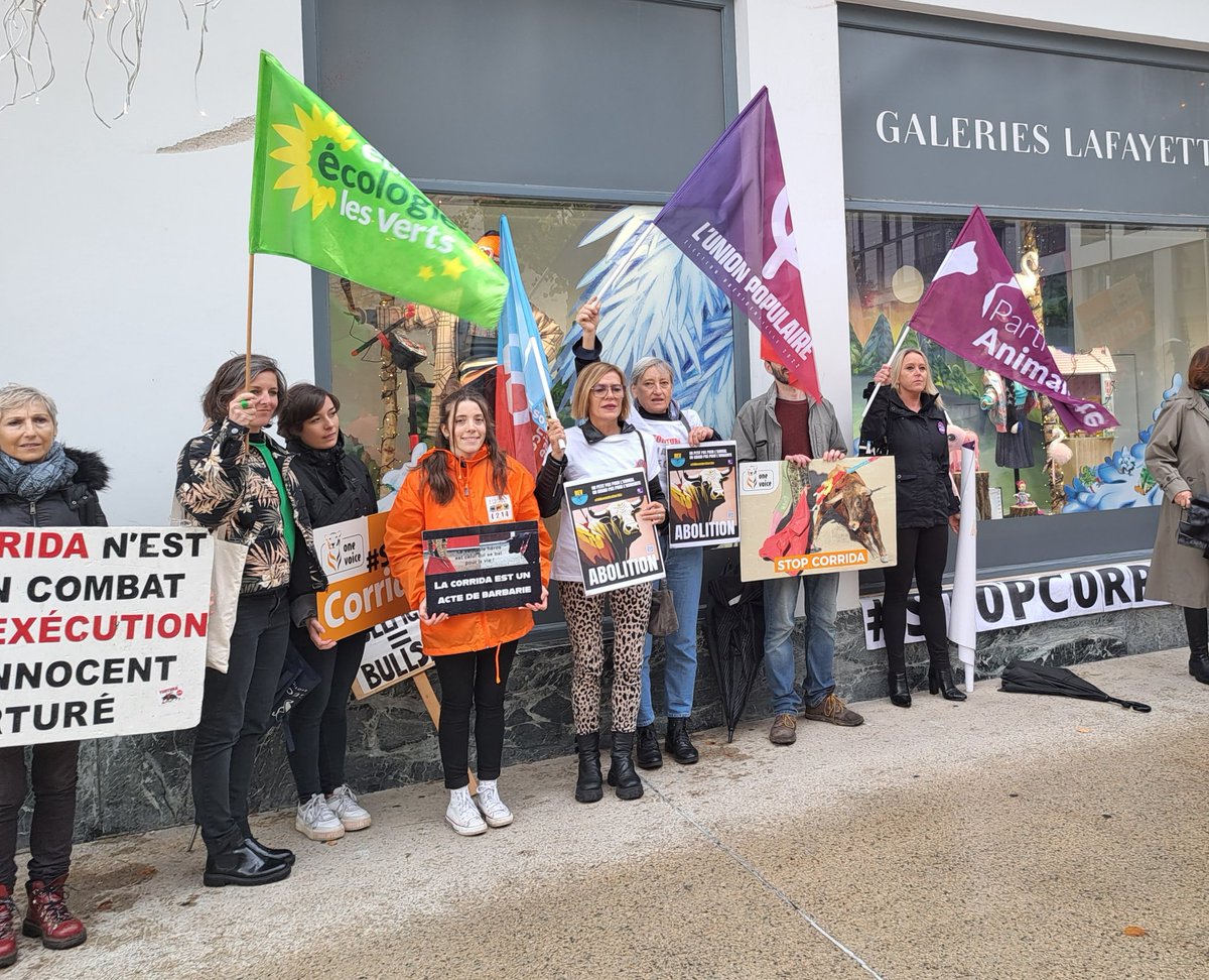 Sandra Pereira-Ostanel tweet media