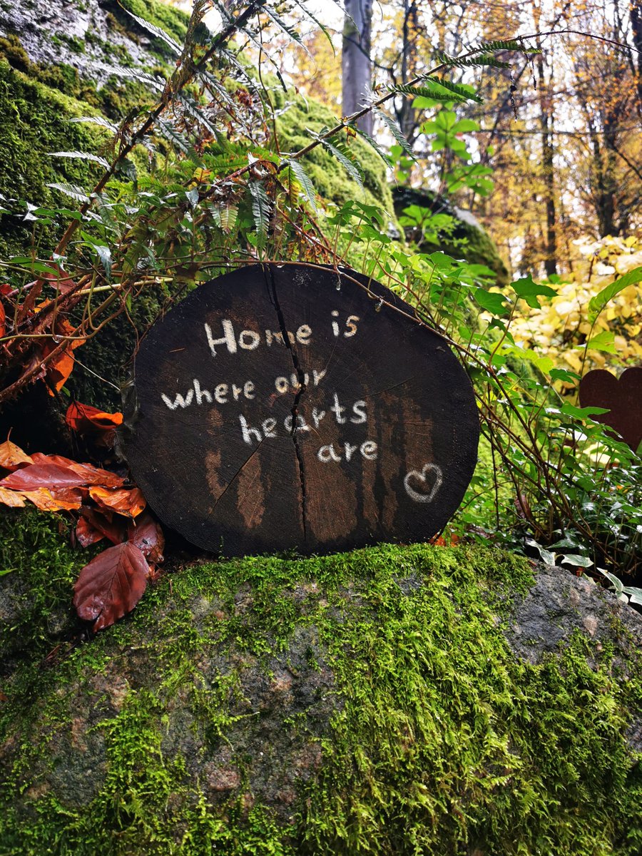 Hab ich bei einer kleinen Herbstwanderung heute entdeckt 🥰🍂