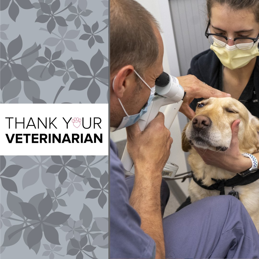 Tweet by OhioStateVetCollege