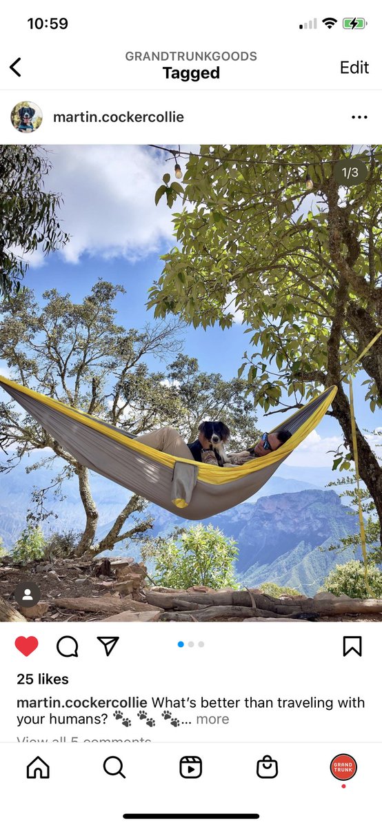 GRAND TRUNK tweet media