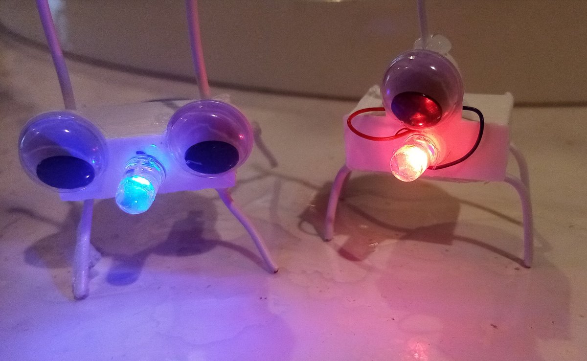 droid_project's tweet image. Pepita y Ramona.
Los dos nuevos #microrobots para los #talleres de los más peques. Con movimiento autónomo y luces. 
Que podréis realizar en @_ExpOtaku #ACoruña
@expocoruna