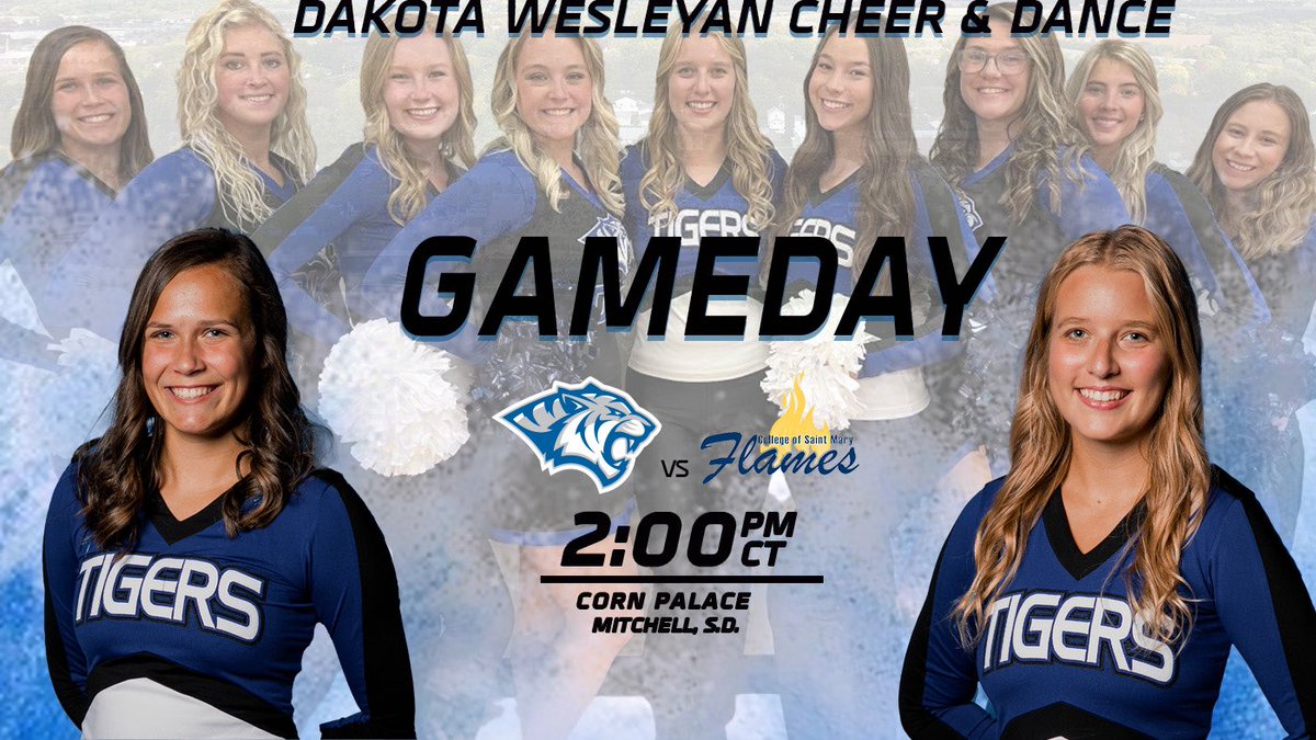DWTigerCheer's tweet photo. Let’s Go Tigers! 💙 https://t.co/sgYVgeHitY