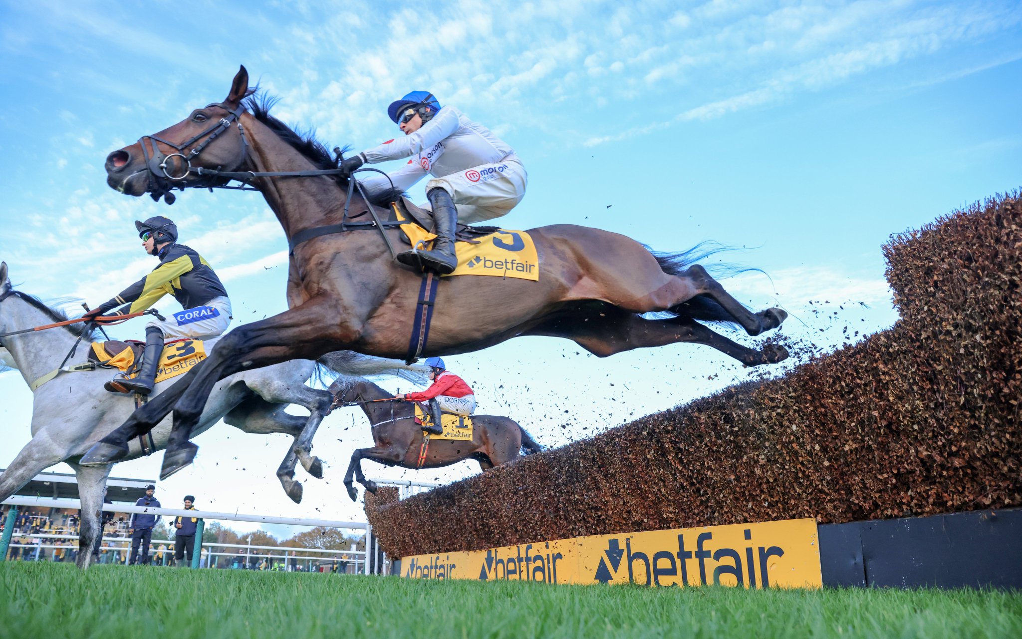 my-racing-tips-on-twitter-what-was-the-best-performance-of-the-day