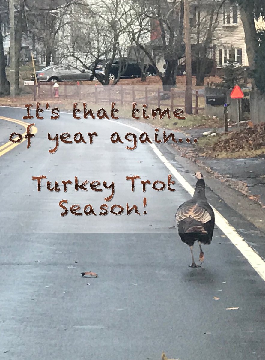 NewsDangler's tweet photo. F’er is beating me! Wait till next year! 🦃 https://t.co/1wRi17u5Dp