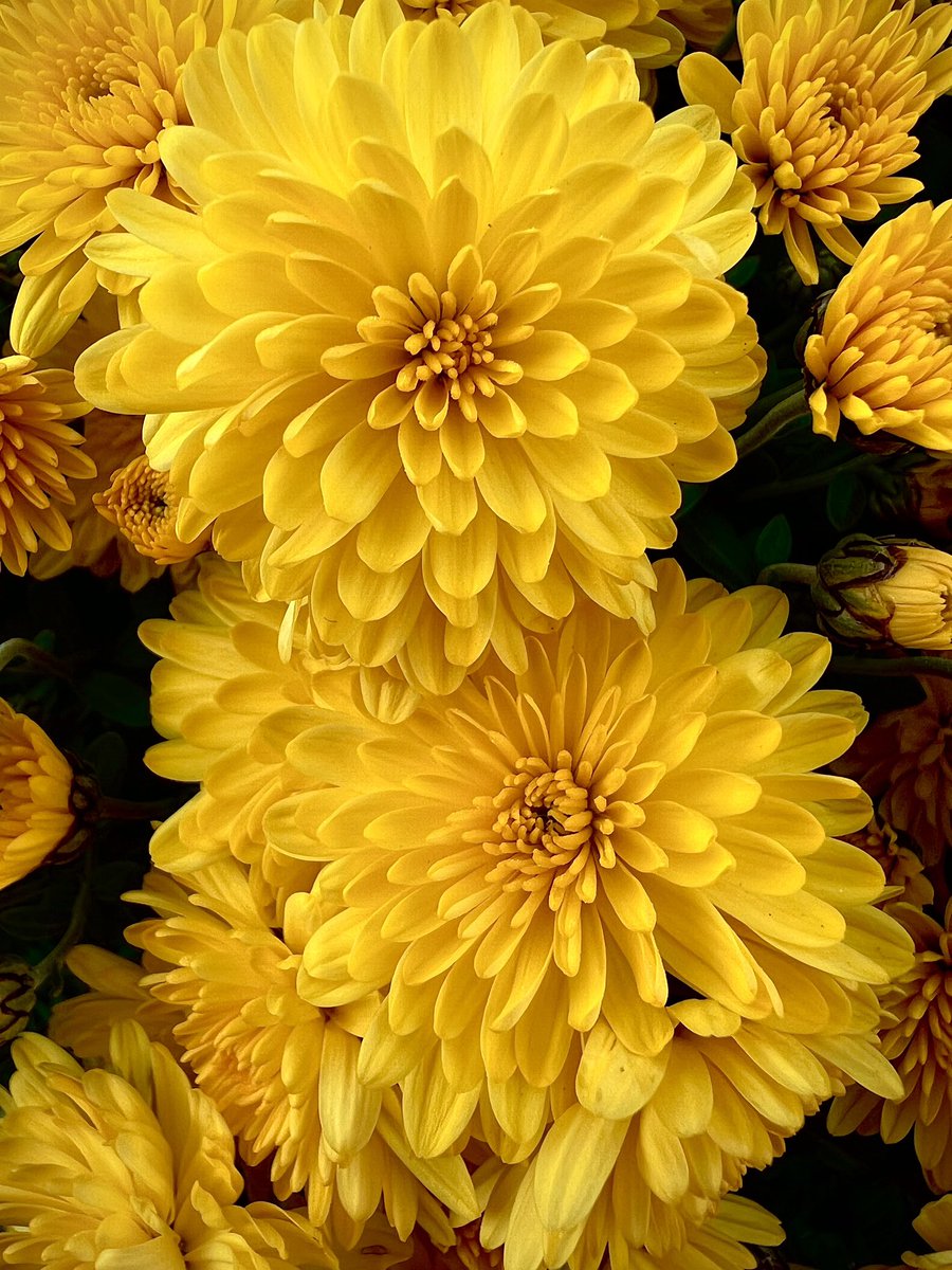 Congratulations to our Photo Contest winner and Historian, Cora! 🦉📸♥️ #rowanuniversity