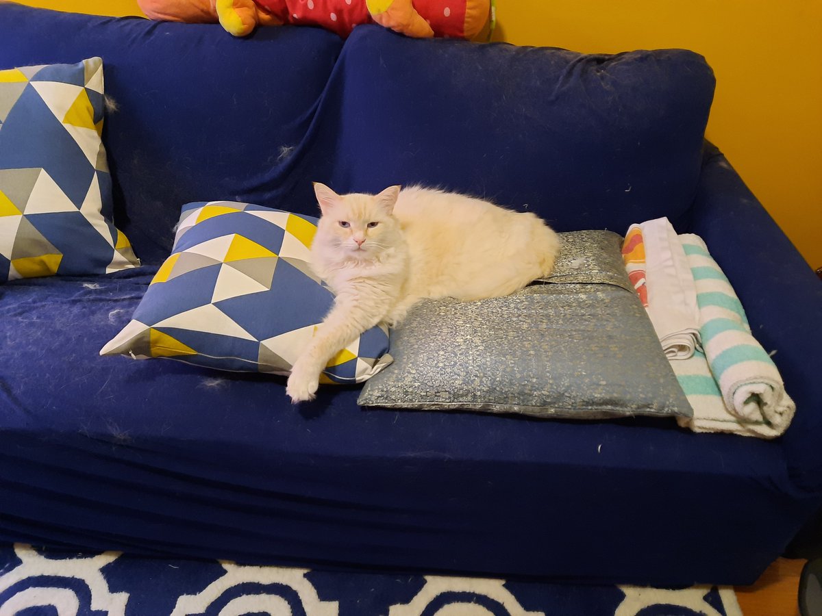 Fuzzicle's tweet image. Hey everyone!  We are moving to our new Instagram account ghostie_and_sparrow.  We have loved meeting all of you and hope to see you there!