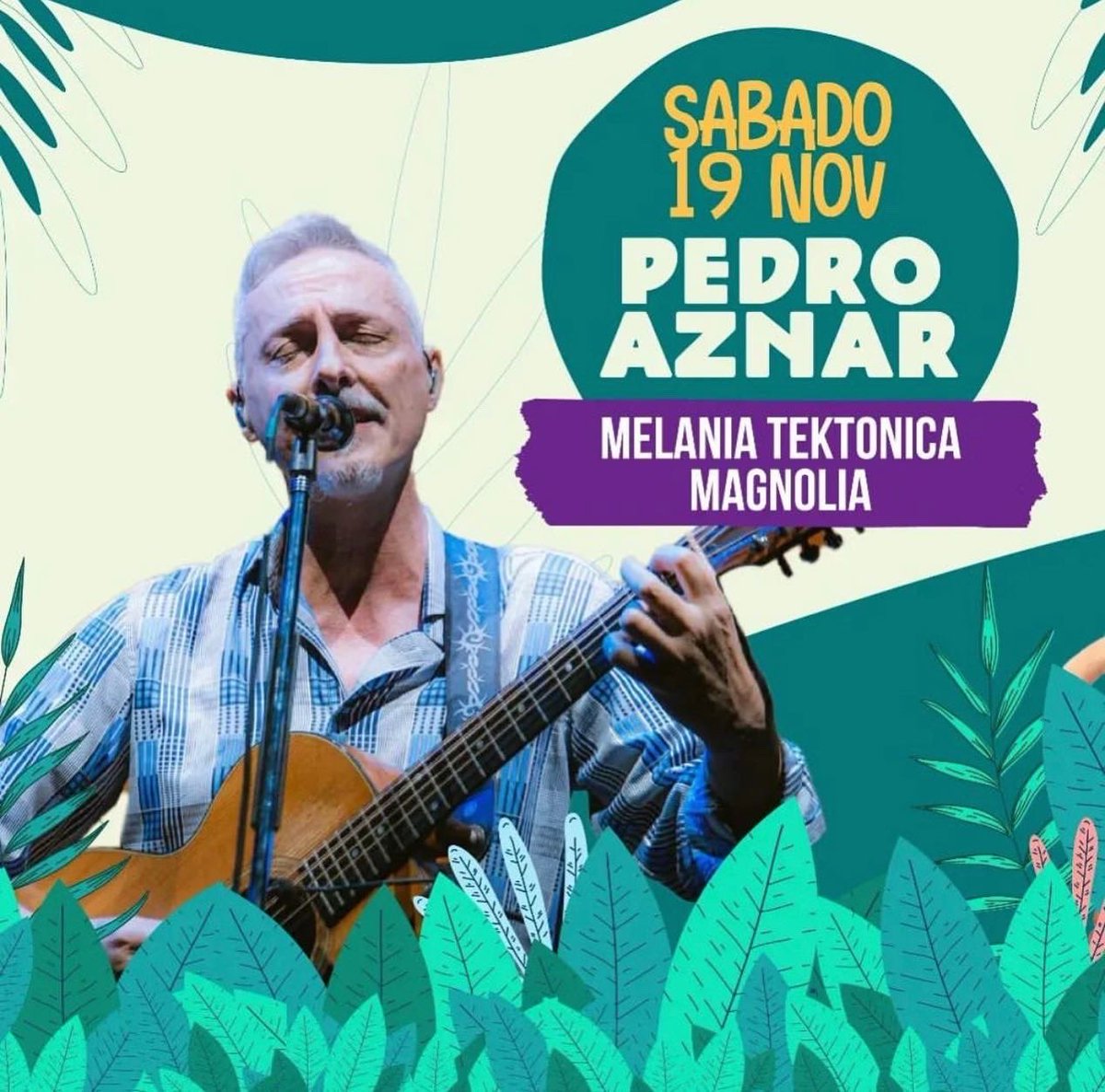 Pedro Aznar tweet media