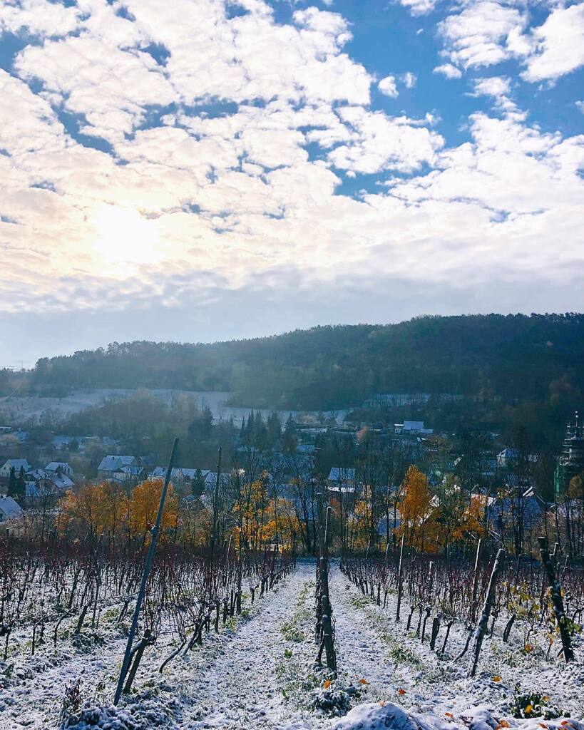 confidv's tweet photo. morgendliche Runde im Wintermärchen - Wein begleitet uns - ob hinterm Haus in Südfrankreich oder hier in Jena 😍 
fühl‘ mich verbunden und gut geerdet https://t.co/Z9hC4A91tk https://t.co/oxtkjdOS21