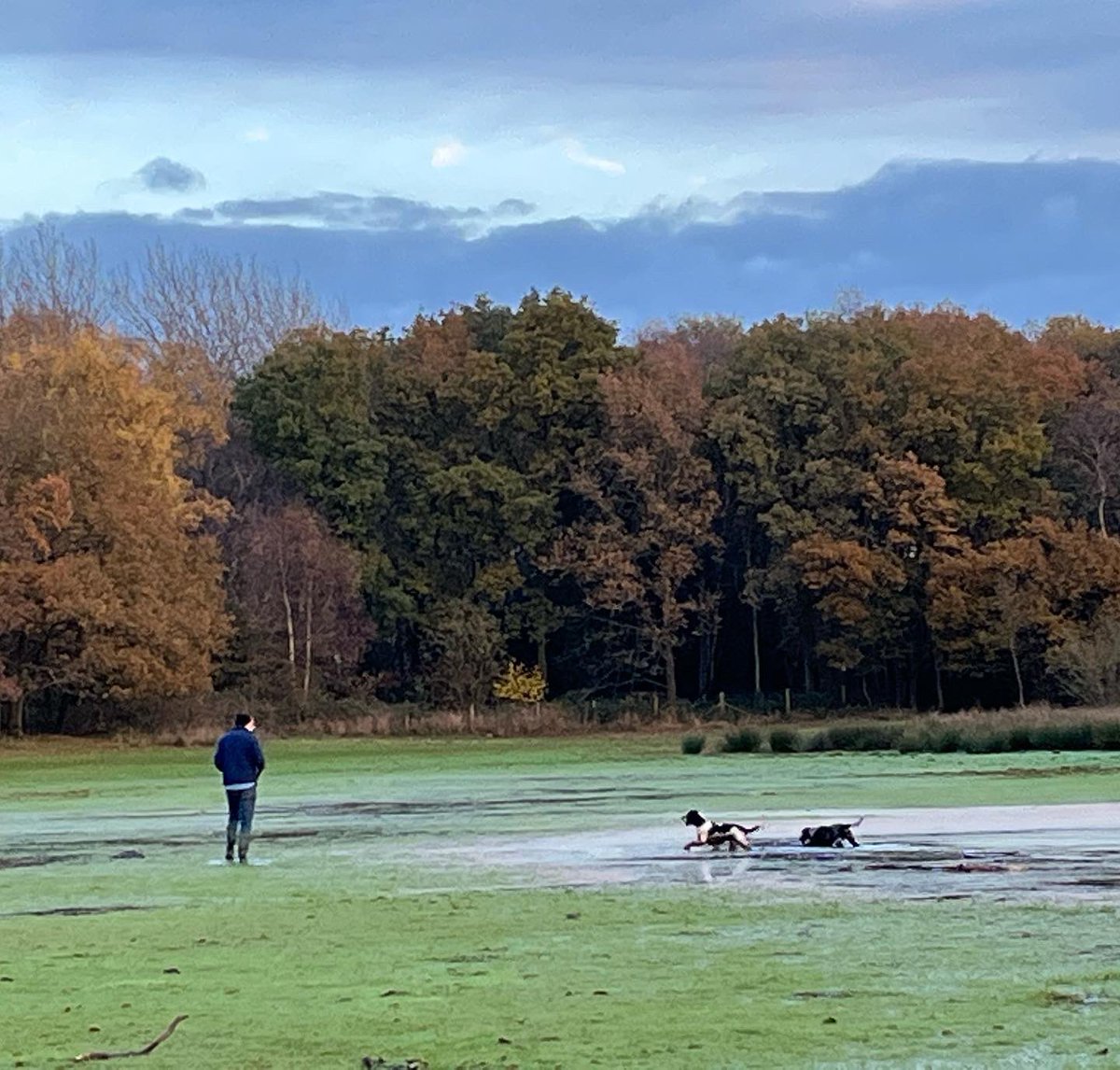DebsRWalton's tweet photo. Late afternoon walk (and swim!) #BrownMoss #northshropshire https://t.co/zrqx9Cakbm