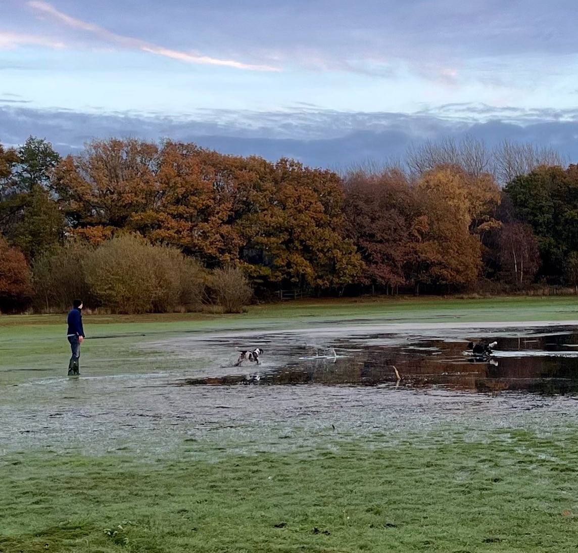 DebsRWalton's tweet photo. Late afternoon walk (and swim!) #BrownMoss #northshropshire https://t.co/zrqx9Cakbm