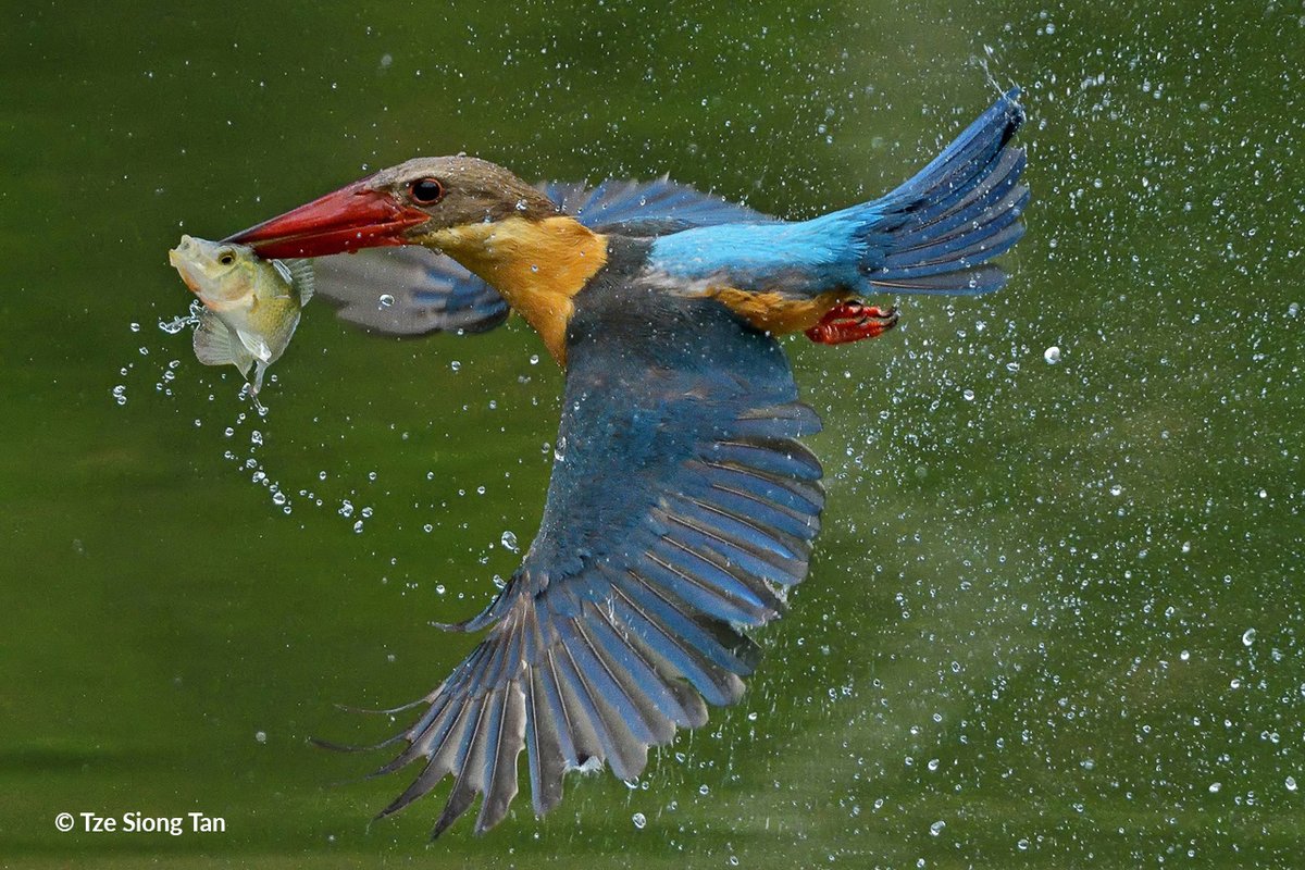 Share the View Photo Contest tweet media