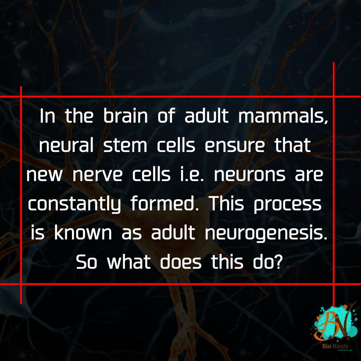 Nauts_Bio's tweet photo. Does new stem cells in organisms a threat for us?

What will happen if new stem cells are found in you?😱

#stemcell
#biocommunity
#bionauts
#biomedia
#biocon
#biotecknika
#seruminstituteofindia
#iits
#iiser
#iisc
#MakeInIndia 
@pushkarpal43 @AnikMuk02KiNa https://t.co/JlXuW0WJnX