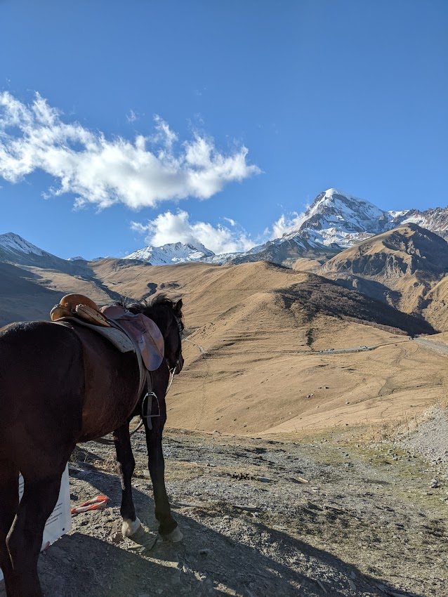 llTravelGeorgia's tweet photo. This region has it's amazing beauty in every season
#kazbegi #mountainview #mountain #kazbegitour #gergetichurch #daytrip #daytour #fromtbilisi #Georgia #nature #horse #Caucasus #RoadTrips 
You can visit during the Activity - > https://t.co/GVXp8UVGYl https://t.co/JeDOwMMwFx