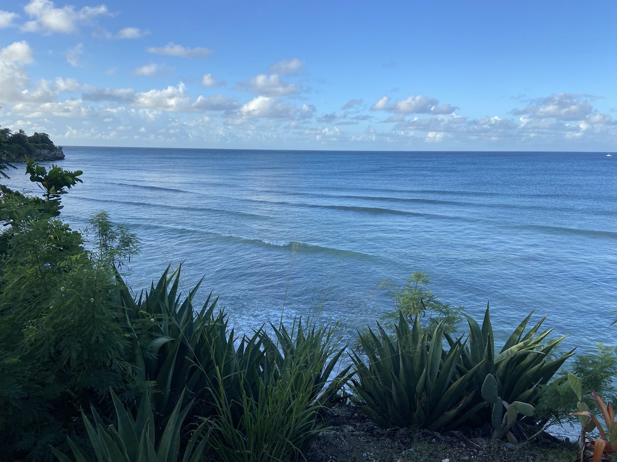 ridethetidesurf's tweet photo. Day break #surfcheck at #freightsbay #barbados https://t.co/zPke3Zh302