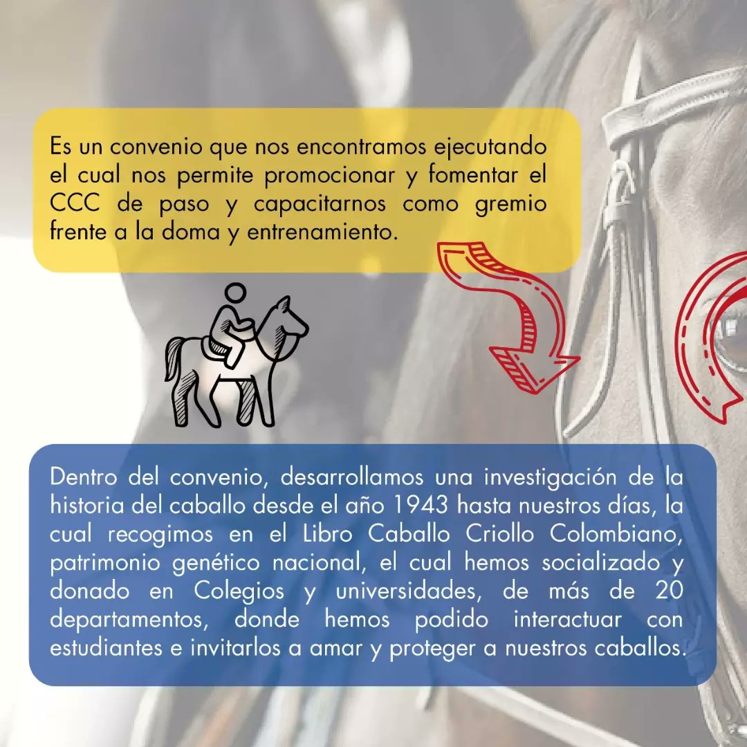 FedequinasOrg's tweet photo. ¿Conoces el convenio 20220438 suscrito con el Ministerio de Agricultura y Desarrollo Rural? ☝🏻

¡Fedequinas más cerca de todos!

#Fedequinas #Convenio #Gremio #ccc #Colombia https://t.co/QOE0Cil8Yq